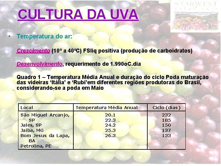 CULTURA DA UVA • Temperatura do ar: Crescimento (10º a 40ºC) FSliq positiva (produção