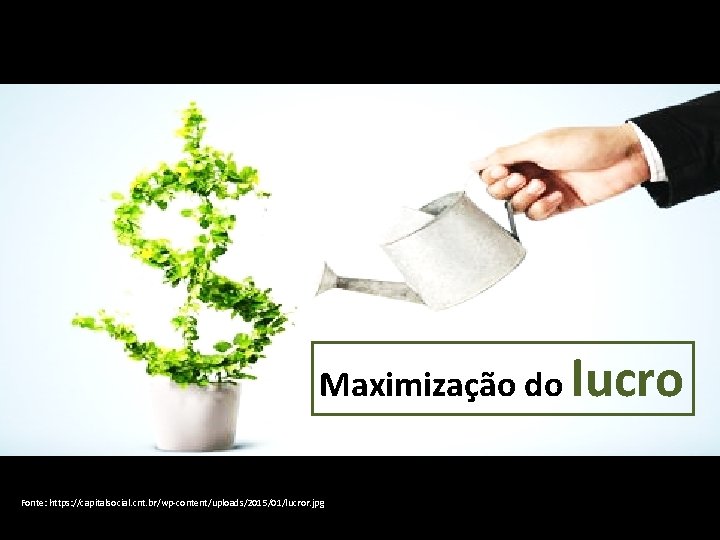 Maximização do lucro Fonte: https: //capitalsocial. cnt. br/wp-content/uploads/2015/01/lucror. jpg 