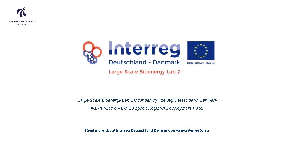 Large Scale Bioenergy Lab 2 is funded by Interreg Deutschland-Denmark with funds from the
