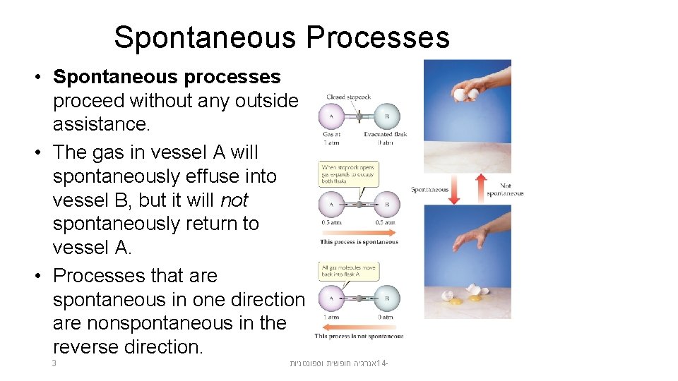 Spontaneous Processes • Spontaneous processes proceed without any outside assistance. • The gas in