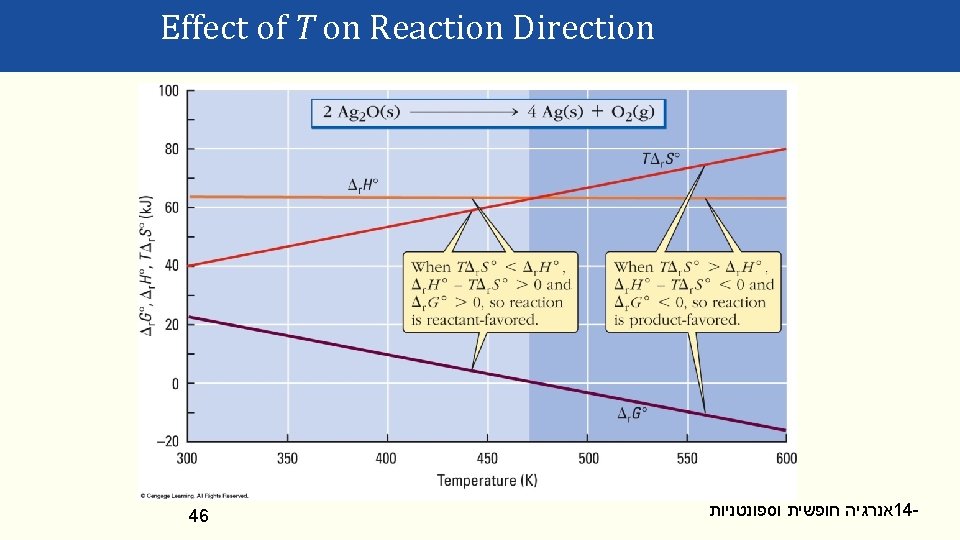 Effect of T on Reaction Direction 46 אנרגיה חופשית וספונטניות 14 - 