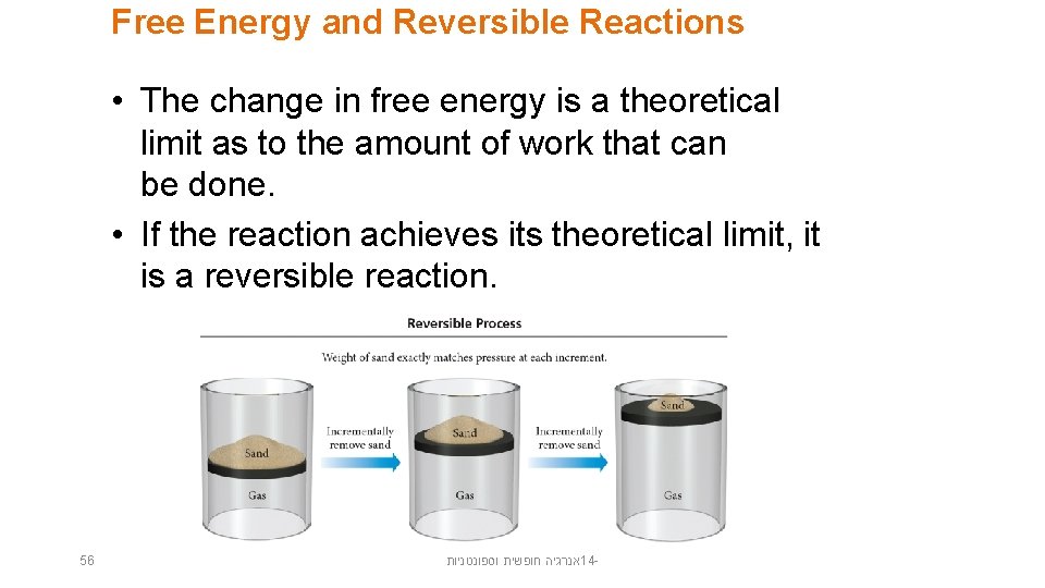 Free Energy and Reversible Reactions • The change in free energy is a theoretical