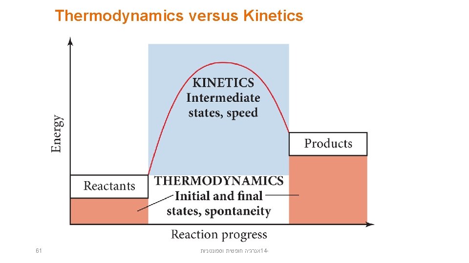 Thermodynamics versus Kinetics 61 אנרגיה חופשית וספונטניות 14 - 