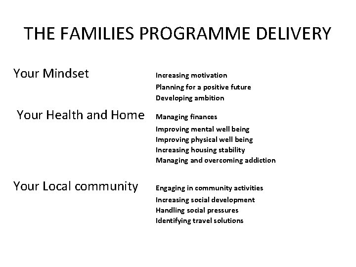 THE FAMILIES PROGRAMME DELIVERY Your Mindset Increasing motivation Planning for a positive future Developing