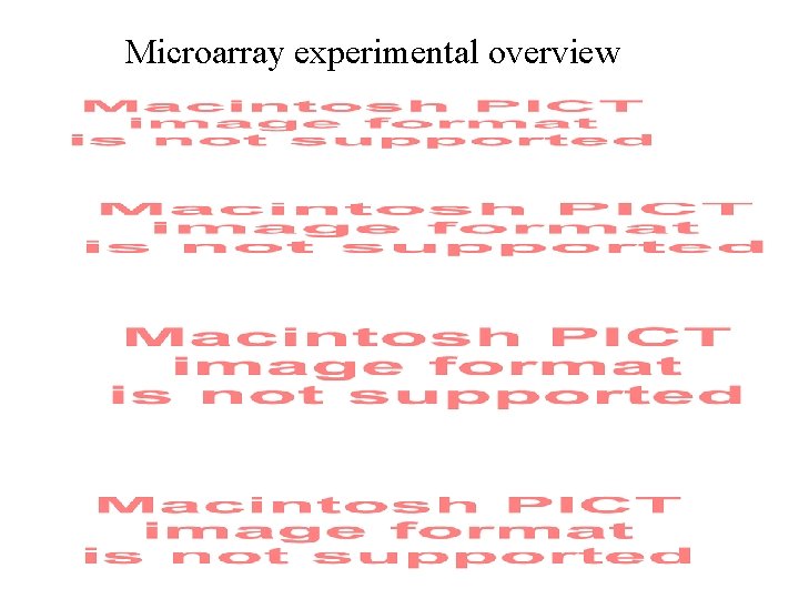 Microarray experimental overview 