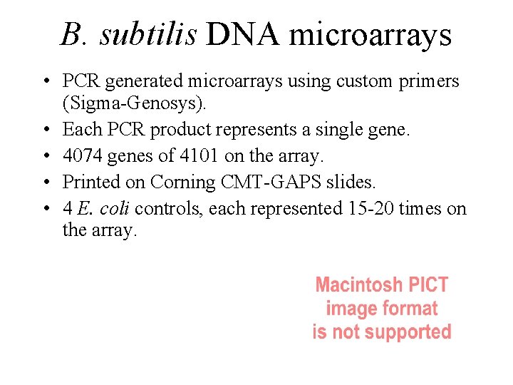 B. subtilis DNA microarrays • PCR generated microarrays using custom primers (Sigma-Genosys). • Each