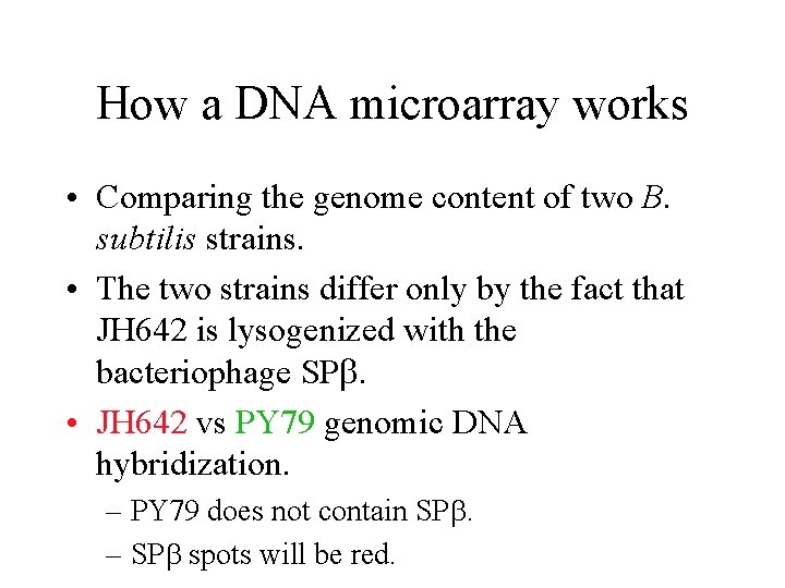 How a DNA microarray works • Comparing the genome content of two B. subtilis