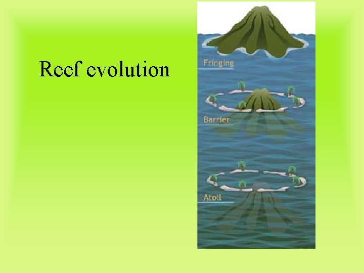 Reef evolution 