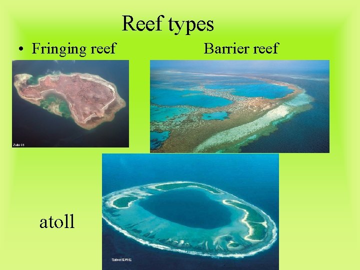 Reef types • Fringing reef atoll Barrier reef 