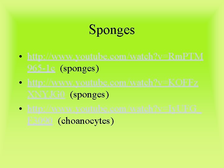 Sponges • http: //www. youtube. com/watch? v=Rm. PTM 965 -1 c (sponges) • http: