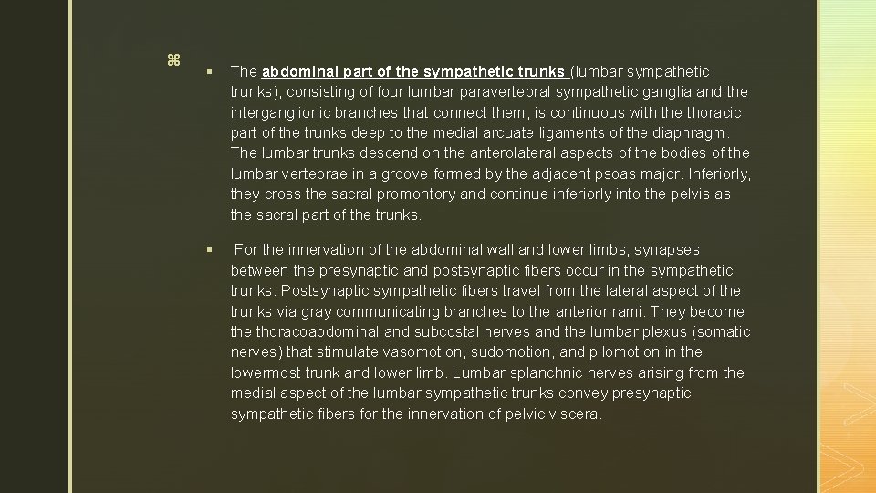 z § The abdominal part of the sympathetic trunks (lumbar sympathetic trunks), consisting of z § The abdominal part of the sympathetic trunks (lumbar sympathetic trunks), consisting of