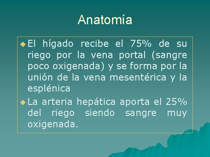 Anatomía u El hígado recibe el 75% de su riego por la vena portal