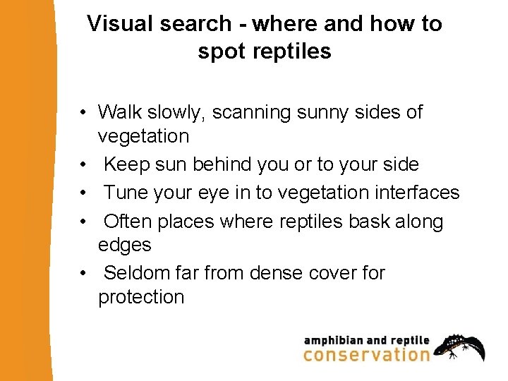 Visual search - where and how to spot reptiles • Walk slowly, scanning sunny