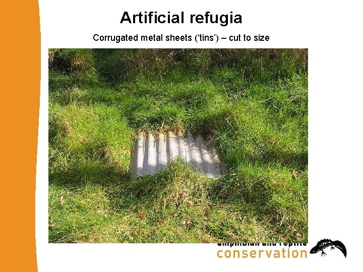Artificial refugia Corrugated metal sheets (‘tins’) – cut to size 