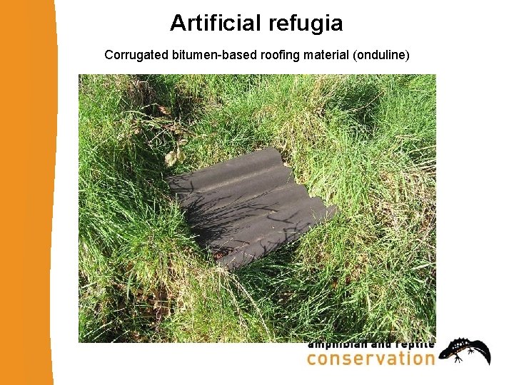 Artificial refugia Corrugated bitumen-based roofing material (onduline) 