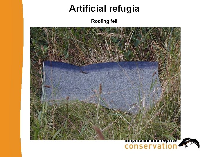 Artificial refugia Roofing felt 