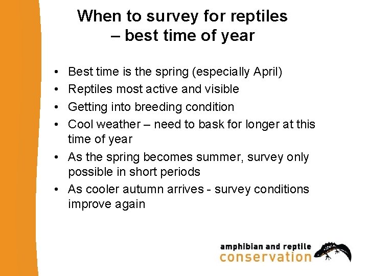 When to survey for reptiles – best time of year • • Best time