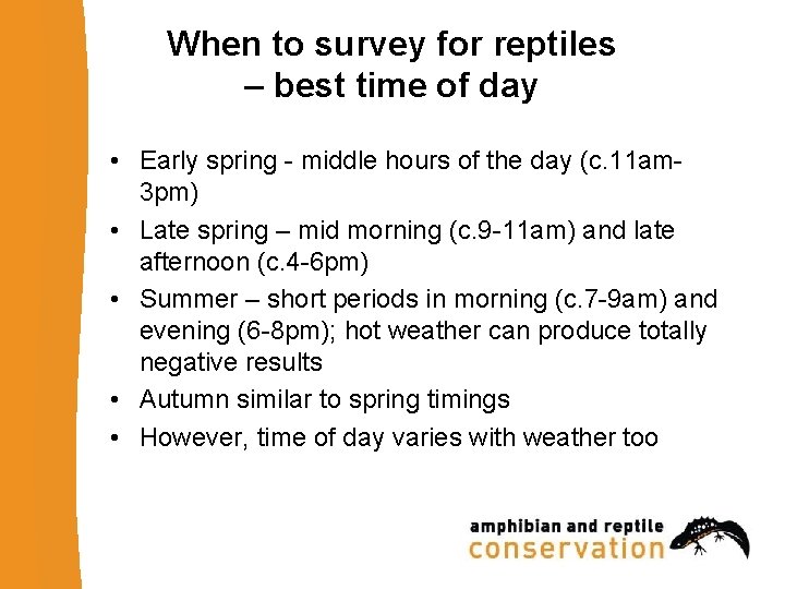 When to survey for reptiles – best time of day • Early spring -