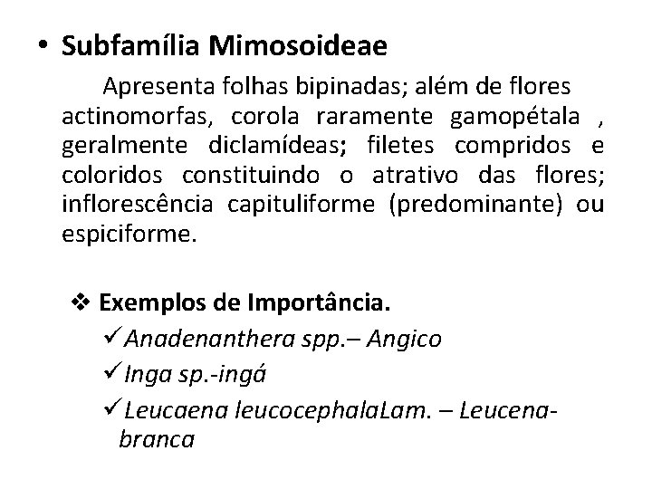  • Subfamília Mimosoideae Apresenta folhas bipinadas; além de flores actinomorfas, corola raramente gamopétala