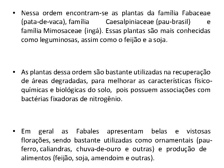  • Nessa ordem encontram-se as plantas da família Fabaceae (pata-de-vaca), família Caesalpiniaceae (pau-brasil)