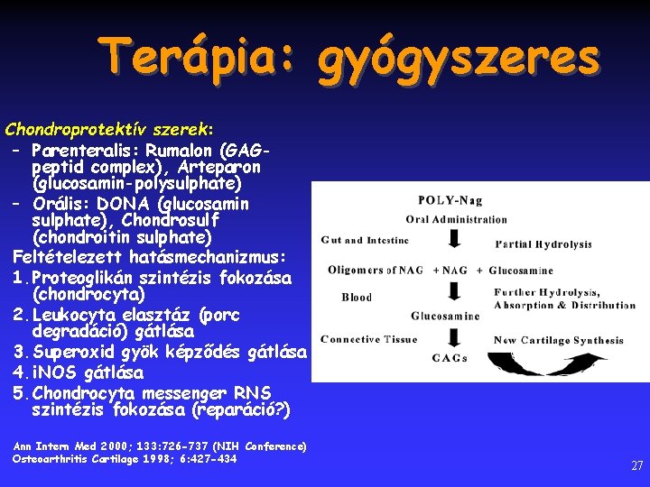 Terápia: gyógyszeres Chondroprotektív szerek: – Parenteralis: Rumalon (GAGpeptid complex), Arteparon (glucosamin-polysulphate) – Orális: DONA