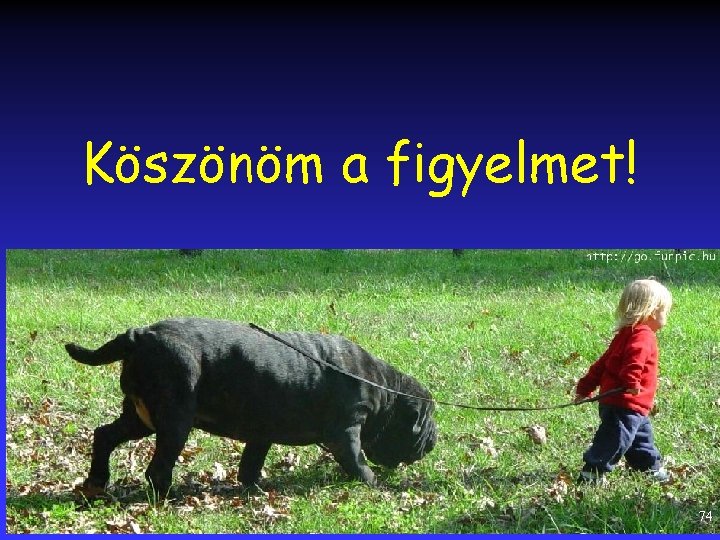 Köszönöm a figyelmet! 74 