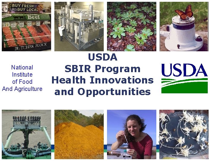 National Institute of Food And Agriculture USDA SBIR Program Health Innovations and Opportunities SBIR