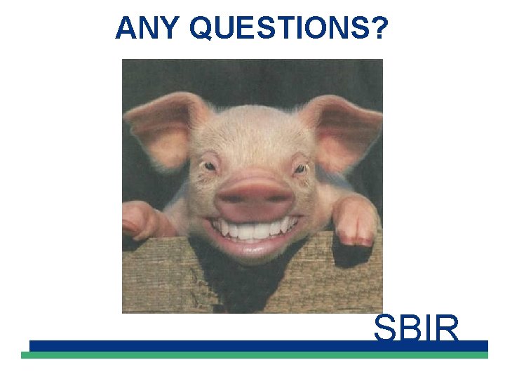 ANY QUESTIONS? SBIR 