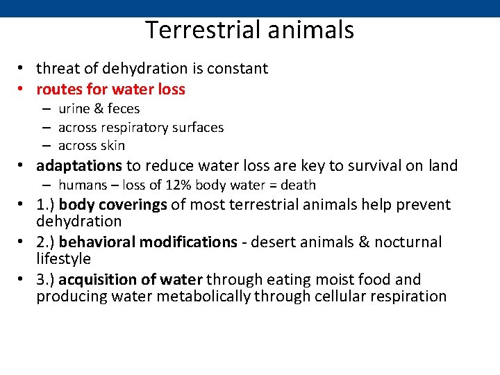 Terrestrial animals • threat of dehydration is constant • routes for water loss –