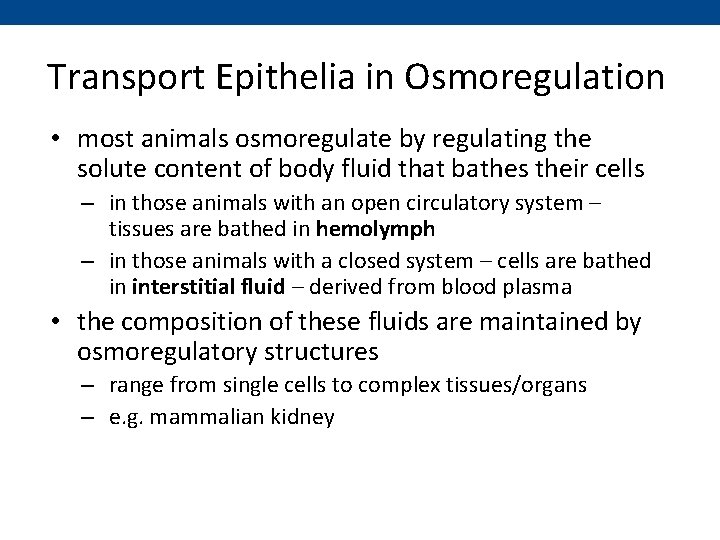 Transport Epithelia in Osmoregulation • most animals osmoregulate by regulating the solute content of