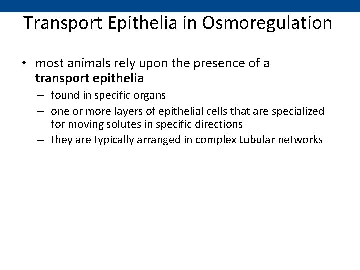 Transport Epithelia in Osmoregulation • most animals rely upon the presence of a transport