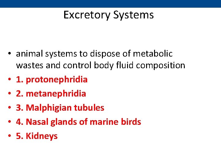Excretory Systems • animal systems to dispose of metabolic wastes and control body fluid