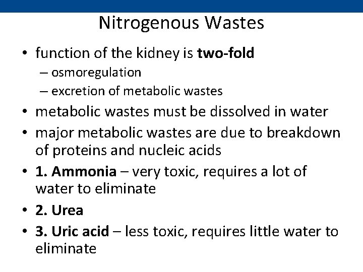 Nitrogenous Wastes • function of the kidney is two-fold – osmoregulation – excretion of