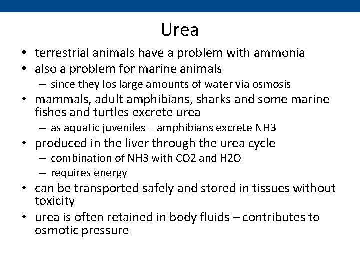 Urea • terrestrial animals have a problem with ammonia • also a problem for