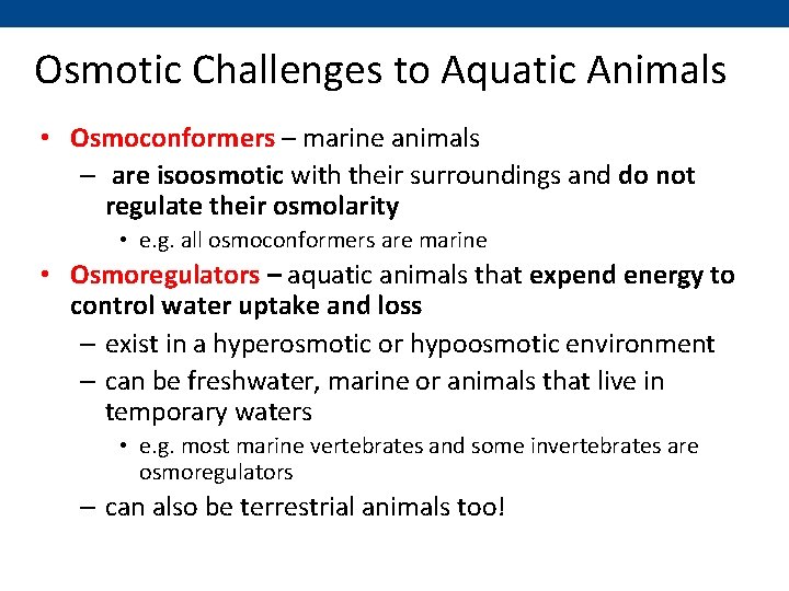 Osmotic Challenges to Aquatic Animals • Osmoconformers – marine animals – are isoosmotic with