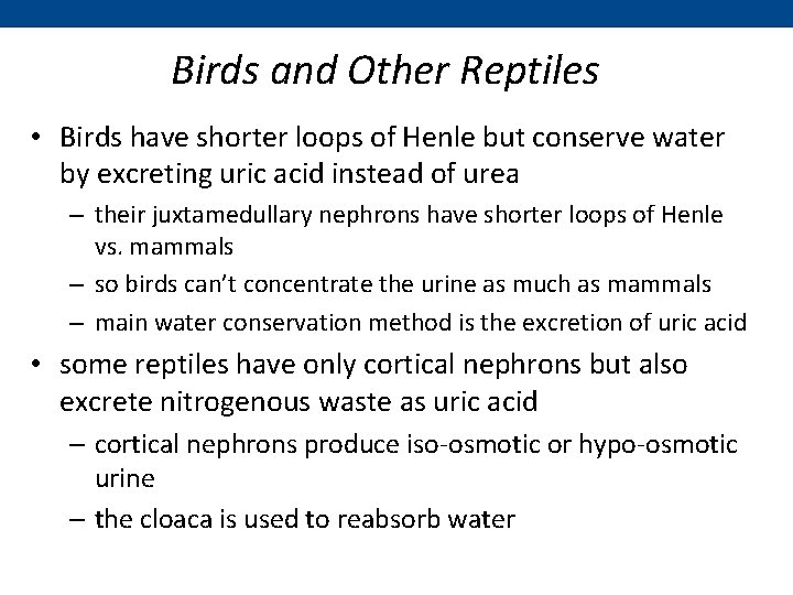 Birds and Other Reptiles • Birds have shorter loops of Henle but conserve water