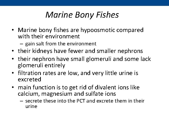 Marine Bony Fishes • Marine bony fishes are hypoosmotic compared with their environment –