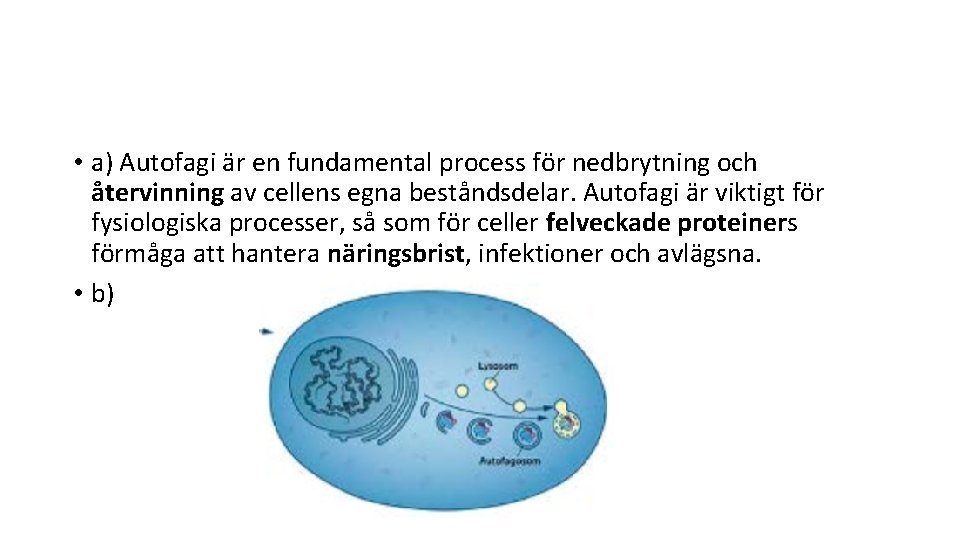  • a) Autofagi är en fundamental process för nedbrytning och återvinning av cellens