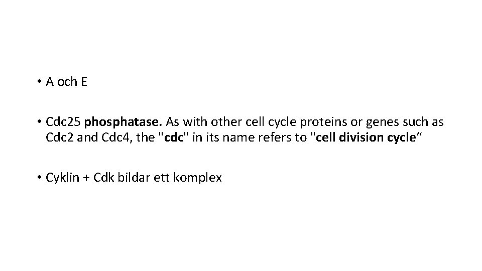  • A och E • Cdc 25 phosphatase. As with other cell cycle