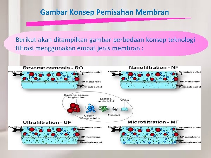 Gambar Konsep Pemisahan Membran Berikut akan ditampilkan gambar perbedaan konsep teknologi filtrasi menggunakan empat