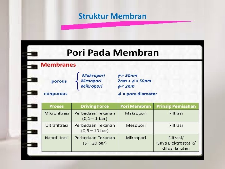 Struktur Membran 