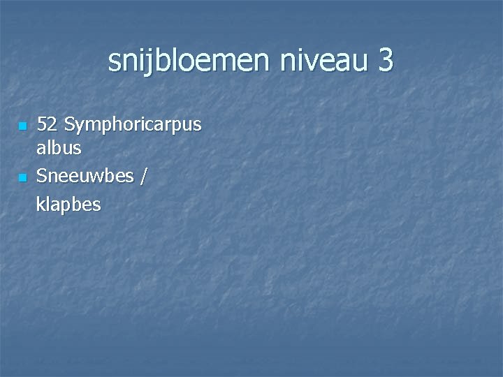 snijbloemen niveau 3 n n 52 Symphoricarpus albus Sneeuwbes / klapbes 