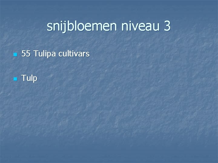 snijbloemen niveau 3 n 55 Tulipa cultivars n Tulp 