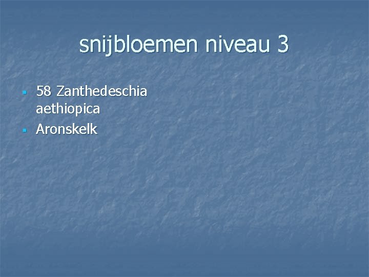 snijbloemen niveau 3 § § 58 Zanthedeschia aethiopica Aronskelk 
