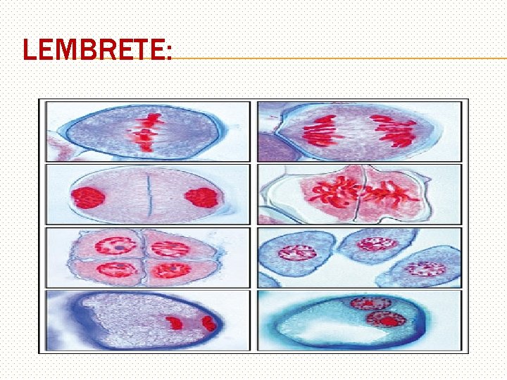 LEMBRETE: 