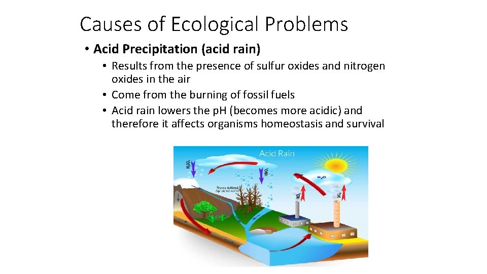 Causes of Ecological Problems • Acid Precipitation (acid rain) • Results from the presence Causes of Ecological Problems • Acid Precipitation (acid rain) • Results from the presence