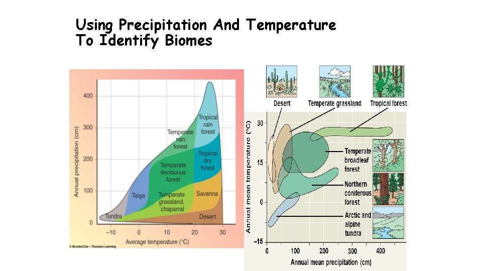 Using Precipitation And Temperature To Identify Biomes Using Precipitation And Temperature To Identify Biomes