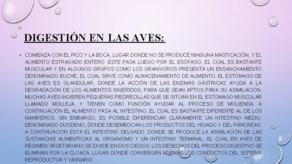 DIGESTIÓN EN LAS AVES: • COMIENZA CON EL PICO Y LA BOCA, LUGAR DONDE