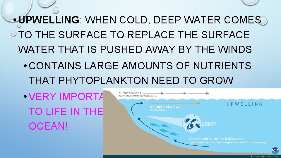  • UPWELLING: WHEN COLD, DEEP WATER COMES TO THE SURFACE TO REPLACE THE