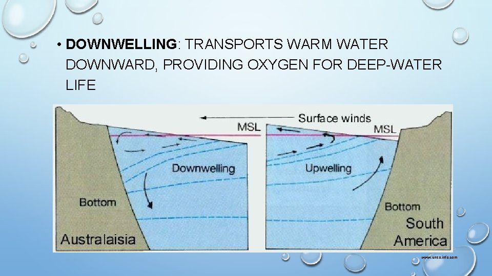  • DOWNWELLING: TRANSPORTS WARM WATER DOWNWARD, PROVIDING OXYGEN FOR DEEP-WATER LIFE www. enso.